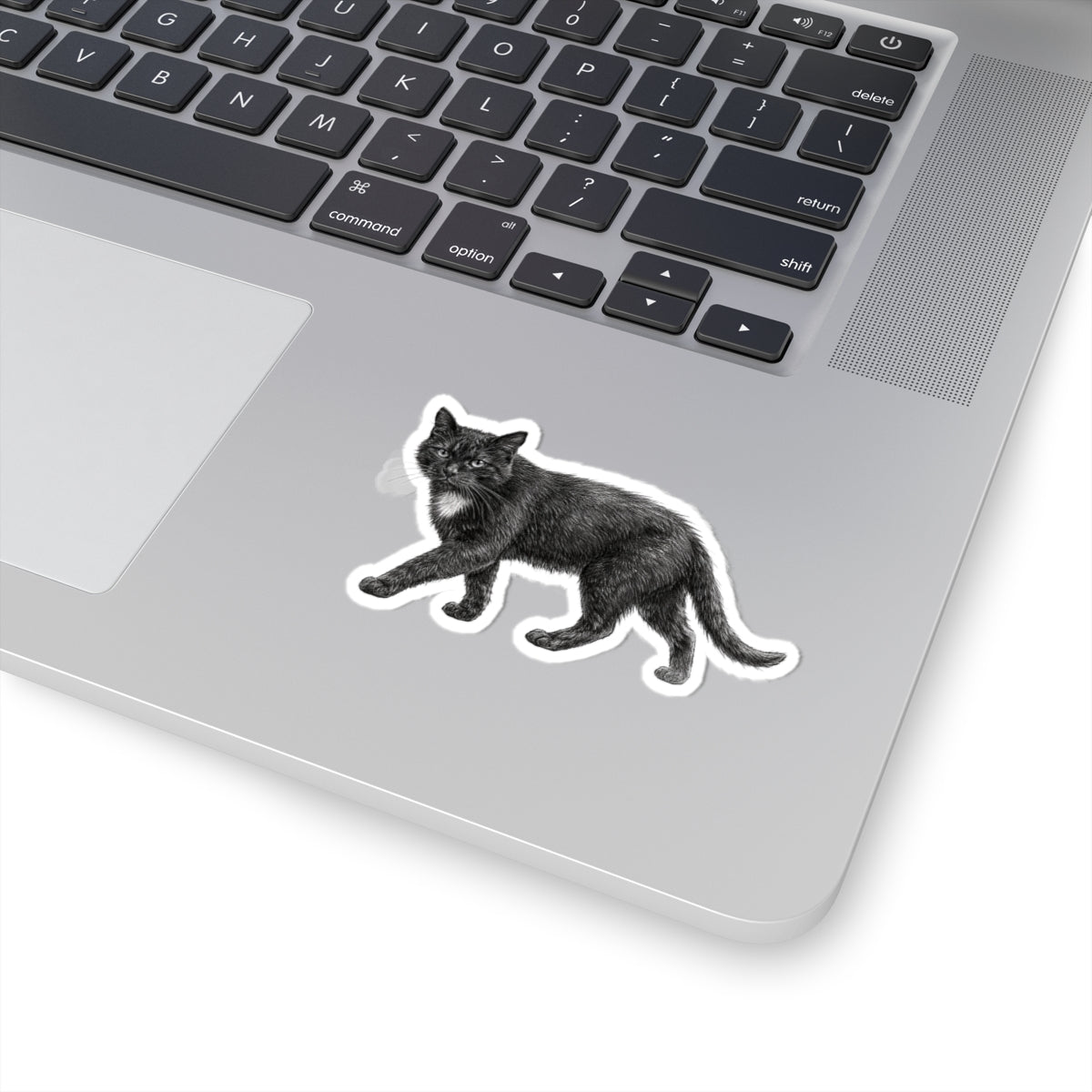 Black Cat Sticker